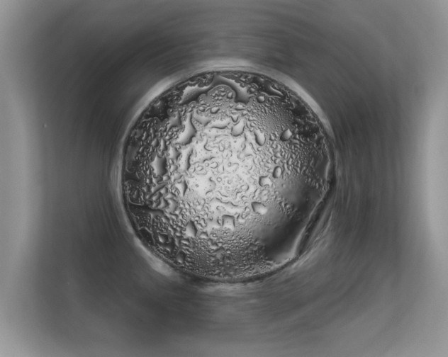 X0000113531245200909250859