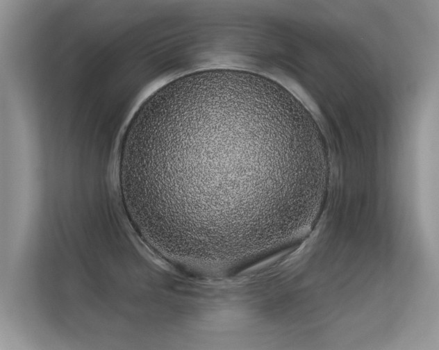 X0000113531246200909250859