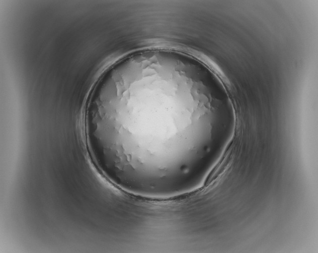 X0000113531247200909250859