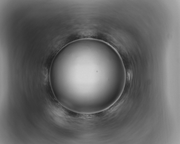 X0000113531251200909250859