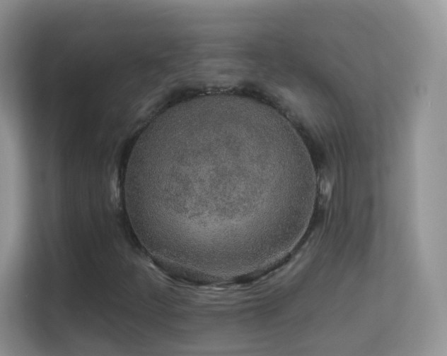 X0000113531252200909250859