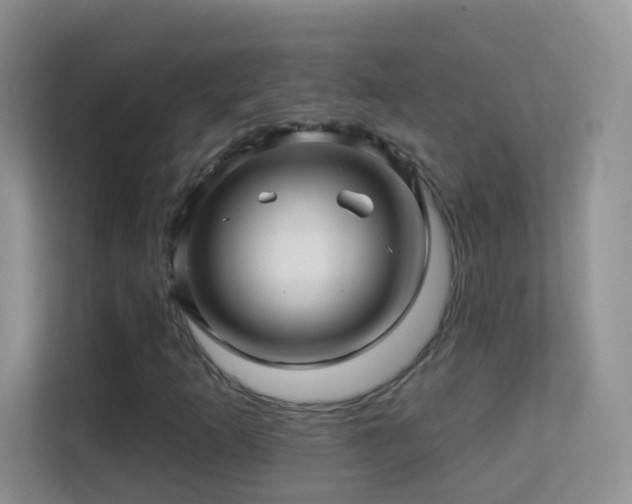 X0000113531253200909250859
