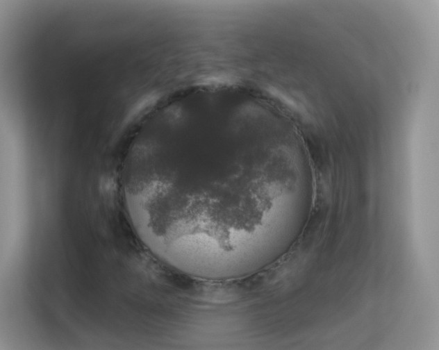 X0000113531254200909250859