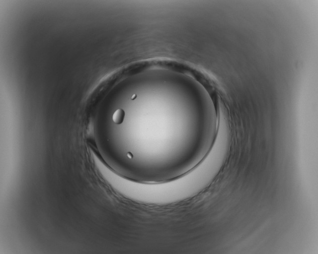 X0000113531255200909250859