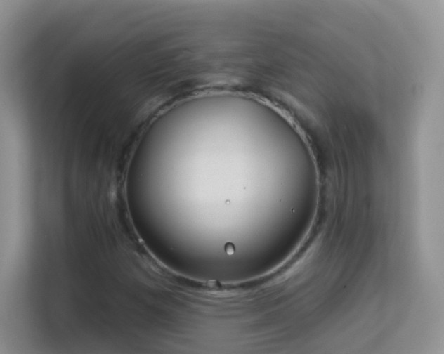 X0000113531257200909250859