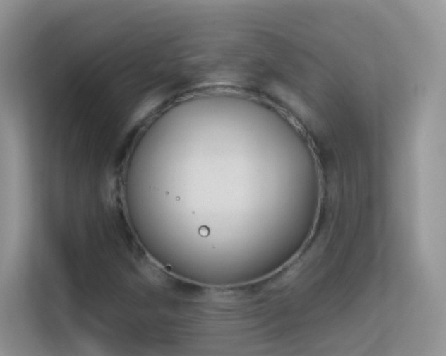X0000113531258200909250859