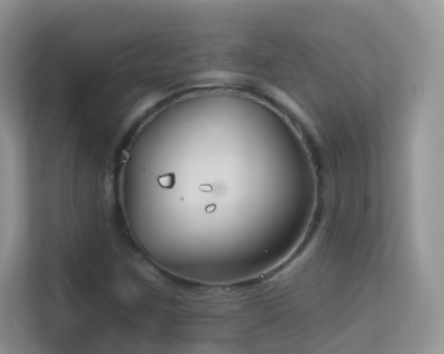 X0000113531259200909250859