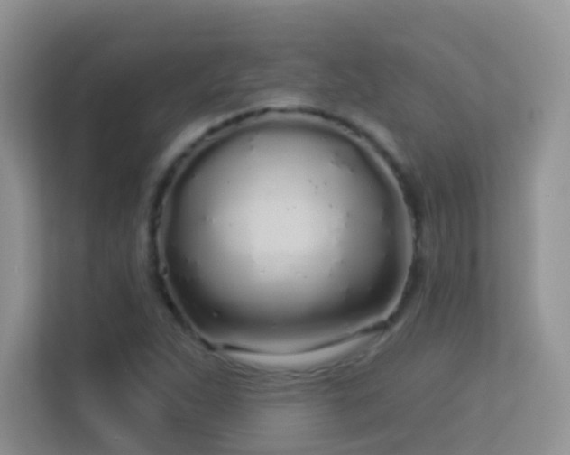 X0000113531263200909250859