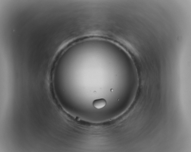 X0000113531264200909250859