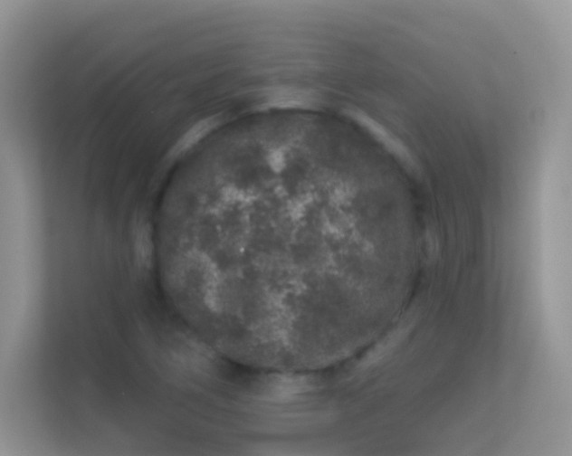 X0000113531266200909250859
