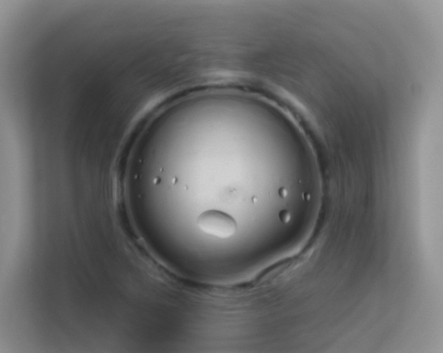 X0000113531267200909250859