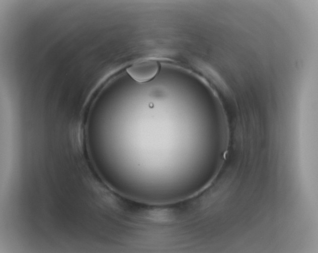 X0000113531268200909250859