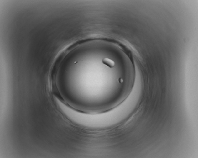 X0000113531269200909250859