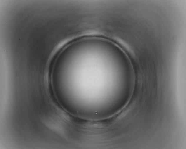 X0000113531270200909250859