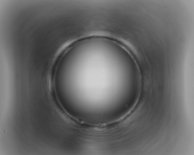 X0000113531271200909250859