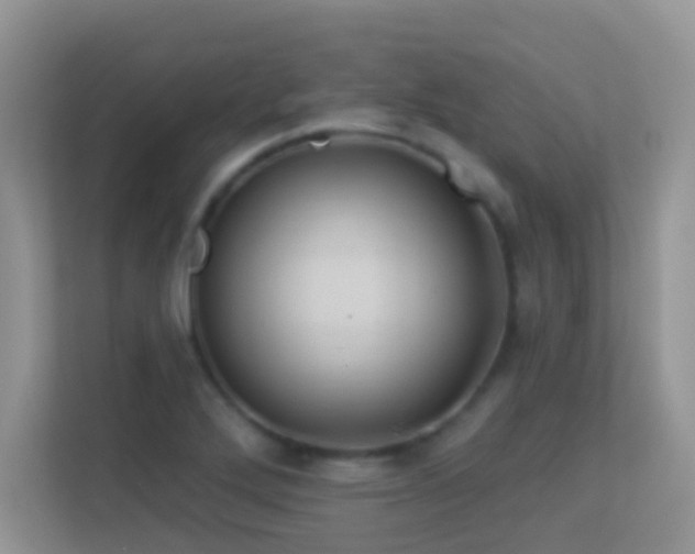 X0000113531272200909250858