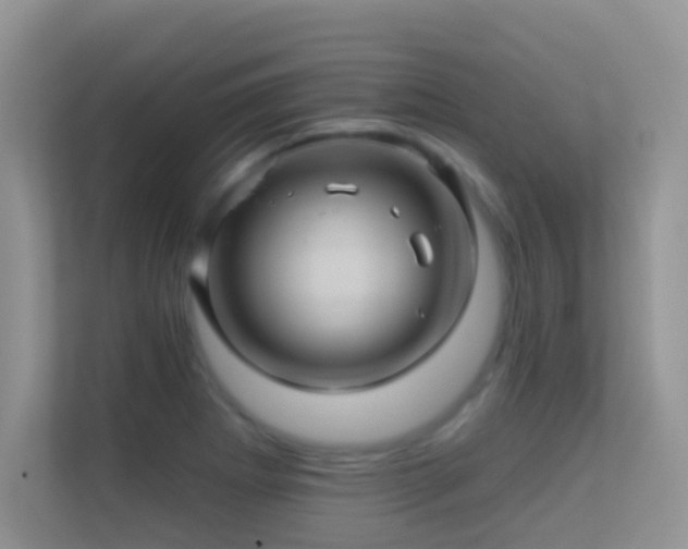 X0000113531273200909250858