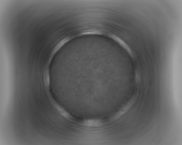 X0000113531274200909250858