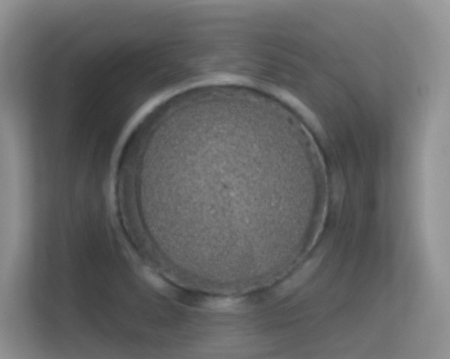 X0000113531278200909250858