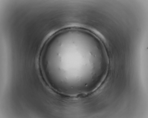 X0000113531279200909250858