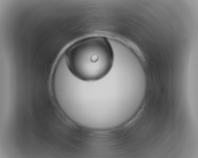X0000113531280200909250858