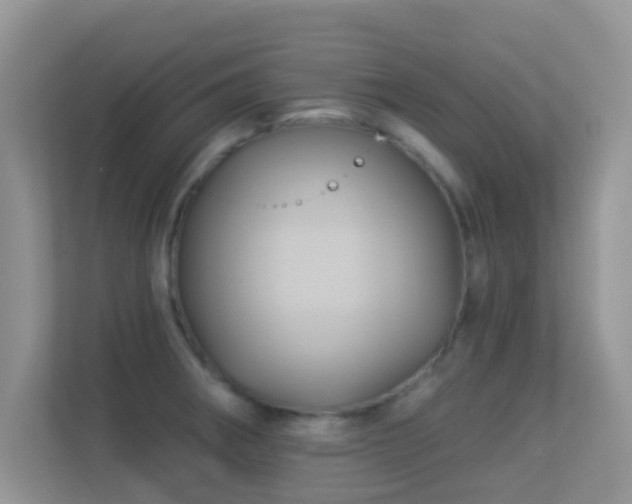 X0000113531282200909250858