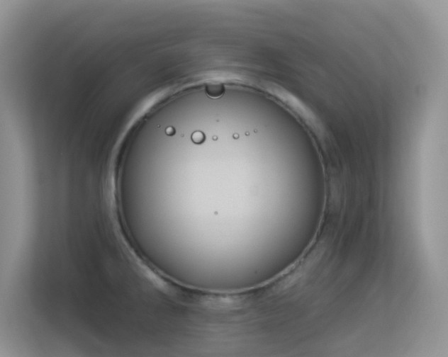 X0000113531286200909250858