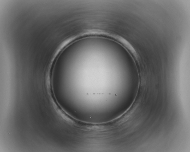 X0000113531287200909250858