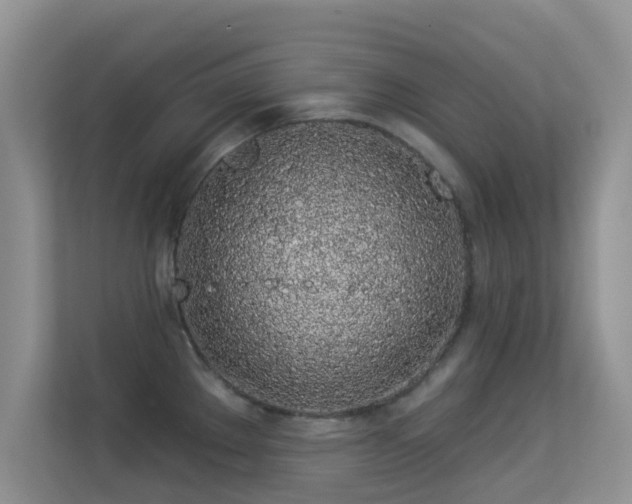 X0000113531289200909250858