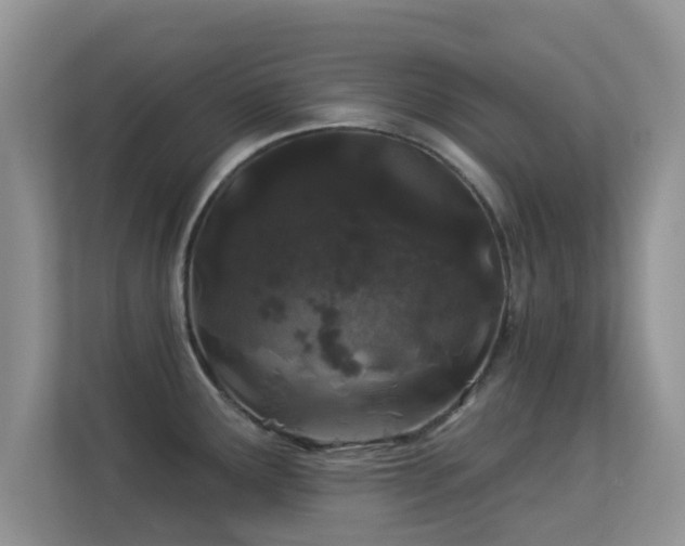 X0000113531291200909250858