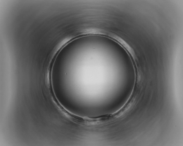X0000113531293200909250858