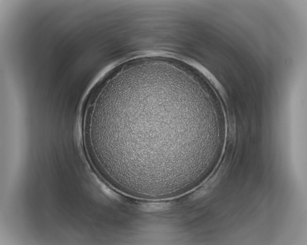 X0000113531294200909250858
