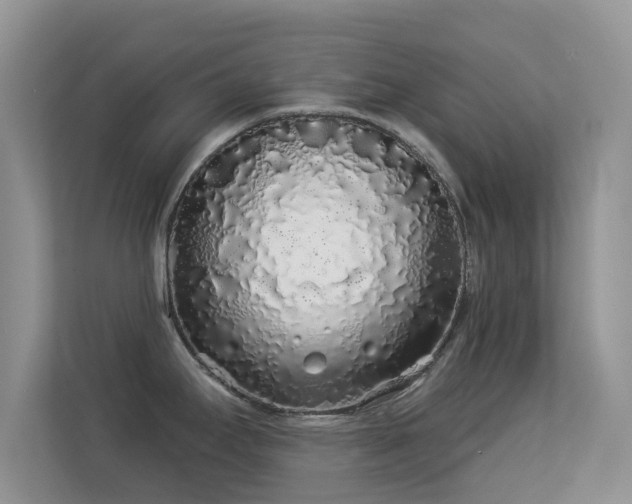 X0000113531295200909250858