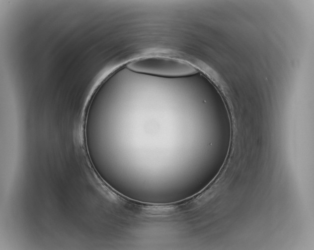 X0000113531296200909250858