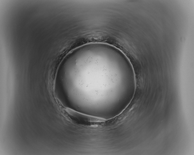 X0000113531297200909250858