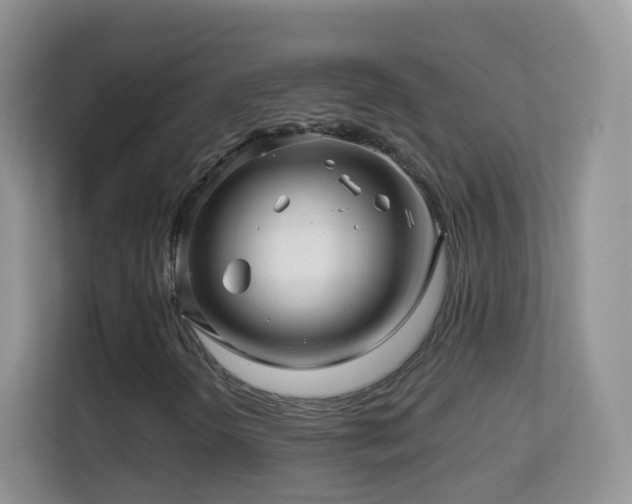 X0000113531298200909250858