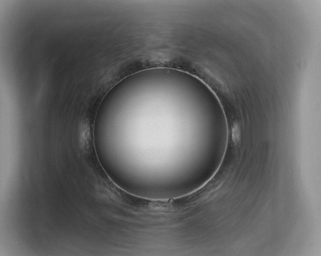 X0000113531299200909250858