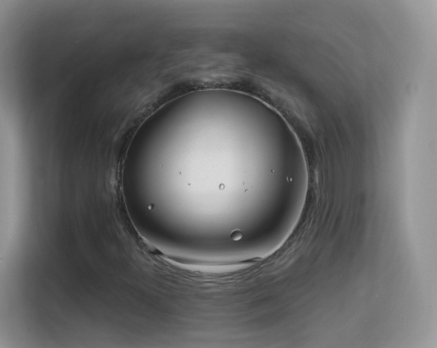 X0000113531300200909250858