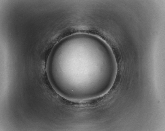 X0000113531301200909250858