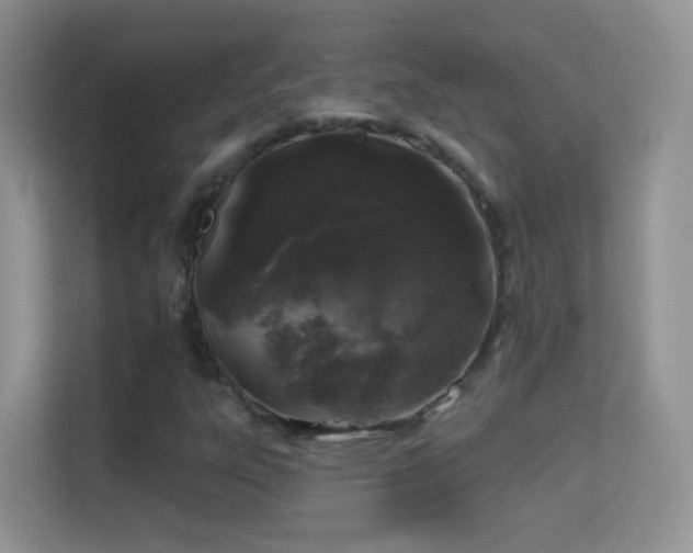 X0000113531303200909250858
