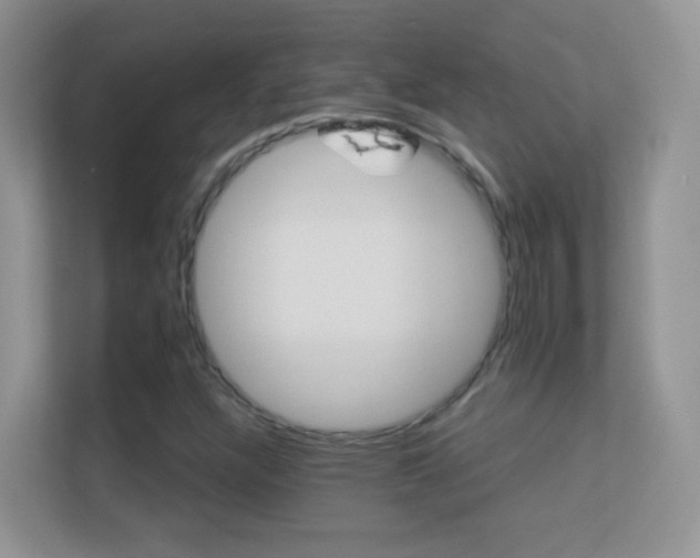 X0000113531304200909250858