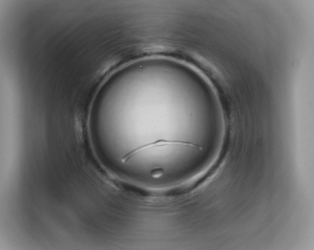 X0000113531305200909250858