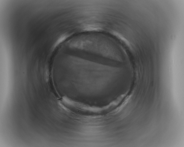 X0000113531306200909250858