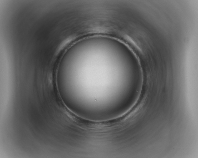 X0000113531307200909250858