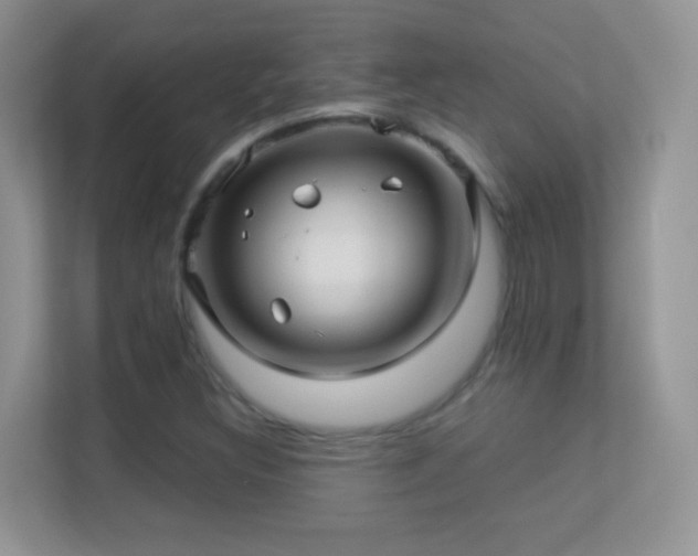 X0000113531308200909250858