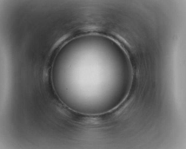 X0000113531309200909250858