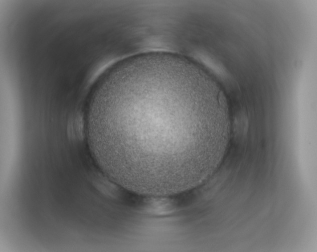 X0000113531310200909250858