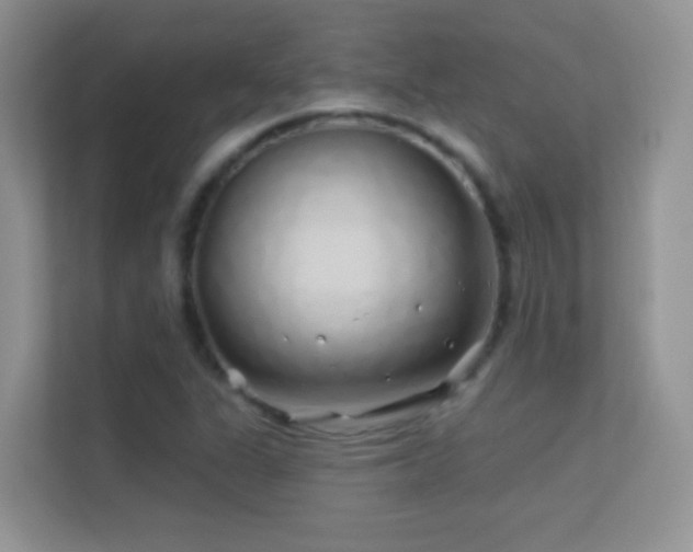 X0000113531311200909250858