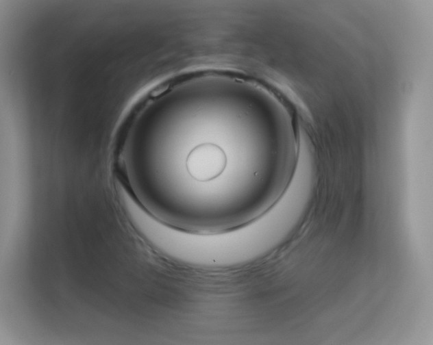X0000113531312200909250858