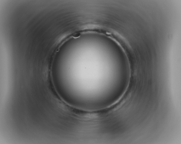 X0000113531313200909250858
